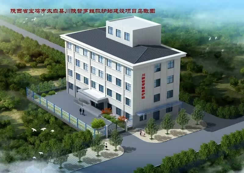 陕西省宝鸡市太白县川陕哲罗鲑救护站建设项目鸟瞰图.jpg